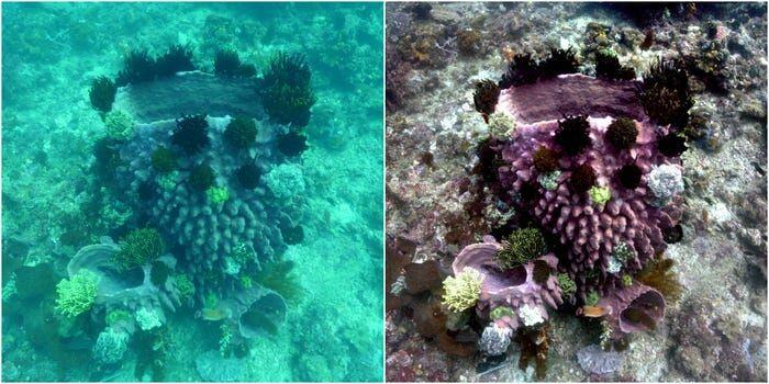 ابداع الگوریتم  ارتقای وضوح  تصاویر ثبت شده از زیر آب