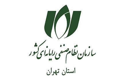 برگزاری نشست آنلاین کمیسیون تجارت الکترونیک نصر تهران