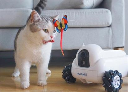 روباتی که حیوانات را سرگرم می کند